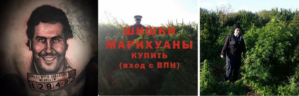 мяу мяу кристалл Богданович