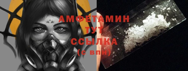 apvp Богородицк