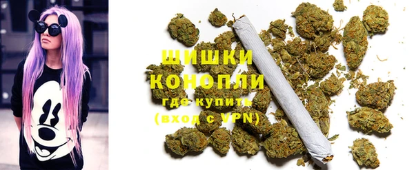 apvp Богородицк