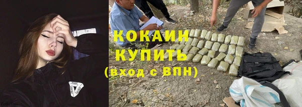 apvp Богородицк